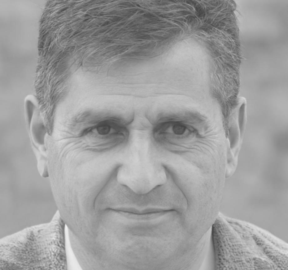 Finanzexperte des cynorexivalon-Teams